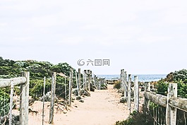 電線,木材,籬笆
