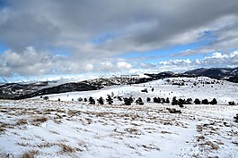 景觀,雪,冬天