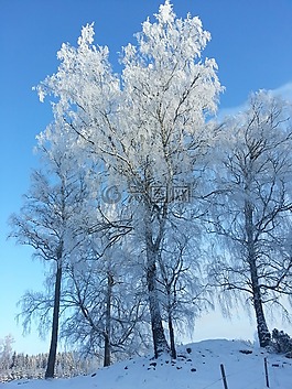 冬天,雪,冷
