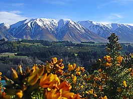 新西蘭,山,噤