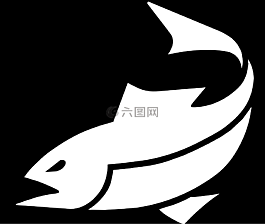 魚,金槍魚,海鮮