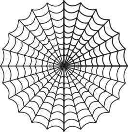 蜘蛛,web,蛛網(wǎng)