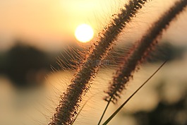 早晨的光線。,蘇塔尼,空氣。