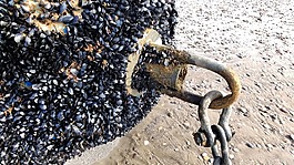 信標,字符串,海