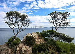 地中海,天空,海