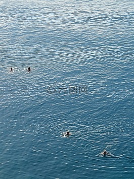 海,游泳,水