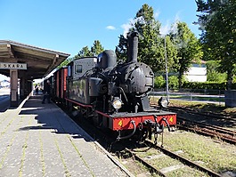 機車,蒸汽機車,perrong