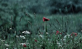 雷暴,巴拉顿湖,蒂豪尼