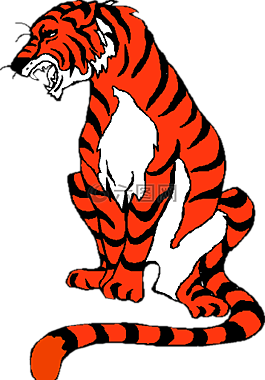 虎,動物,野生