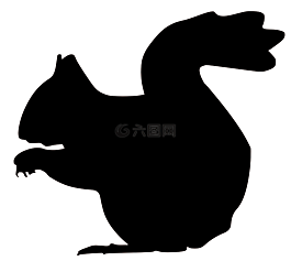 松鼠,堅(jiān)果,黑