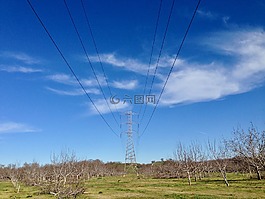 電源線,果園,農(nóng)村
