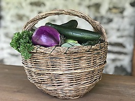 籃球,性質(zhì),食物