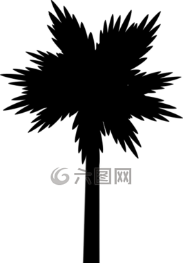 棕櫚,海灘,熱帶