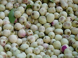 橄榄,白橄榄,立场