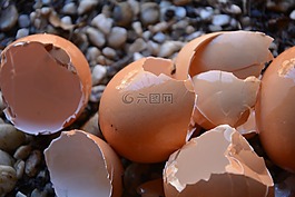 雞蛋殼,破碎,鈣