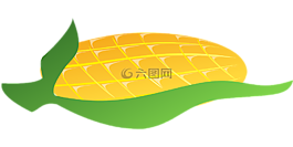 玉米,蔬菜,食品