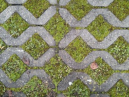 地面,方块,苔