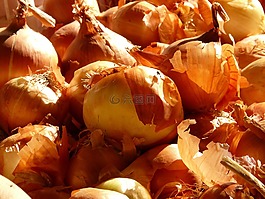 洋蔥,蔬菜,食品