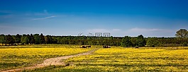阿拉巴馬州,農(nóng)場(chǎng),全景圖