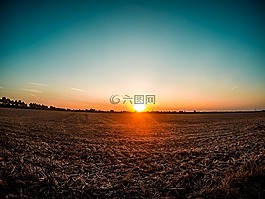 日落,字段,abendstimmung