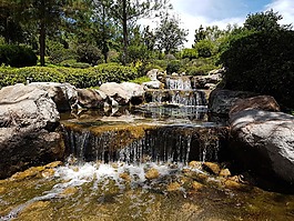河,花園墨西哥,水