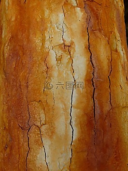 生銹,裂紋,不銹鋼