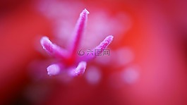 性質(zhì),紅色,模糊