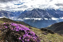 贡嘎雪山,云,徒步