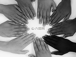 分享,一人為大家，大家為一人,心臟