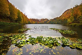人體內(nèi)的水,河,性質(zhì)