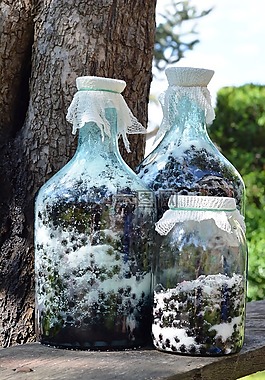 黑,水果,準備工作