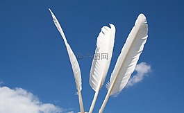 羽毛,天空,白