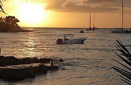 水域,日落,海