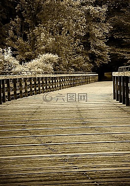 橋,網(wǎng)站,離