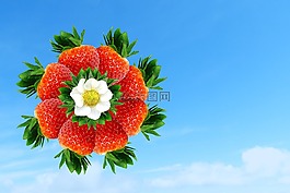 草莓,風(fēng)車,植物