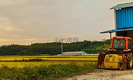 秋季,收獲,農業(yè)