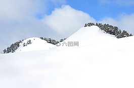 雪,粉,滑雪