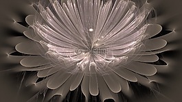 分形,花,設(shè)計(jì)