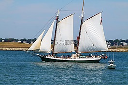 帆船,大篷車,波士頓港