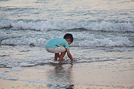 海滩,冲浪,岸