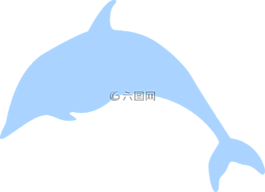 海豚,動物,海