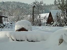 雪,花園,冬天