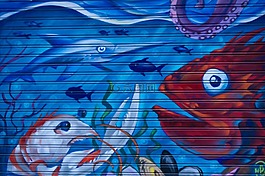 動物,海洋,魚