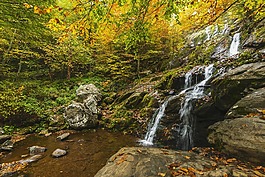 大瀑布,秋,荒野
