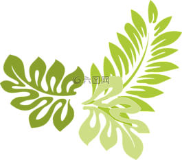 葉子,綠色,植物