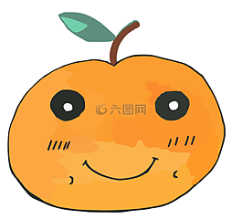 橙色,水果,柑橘
