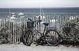 海灘,自行車,假日