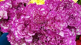 楊,灰燼,鮮花