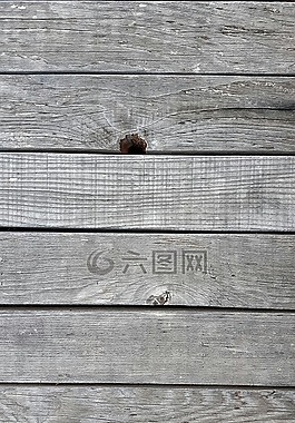 木材,質(zhì)地,植物