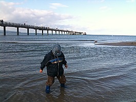 東海大橋,海灘,波羅的海